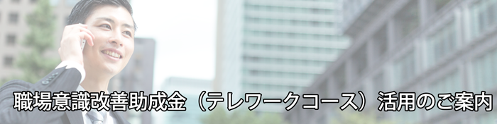 助成金を活用してナイセンクラウドサービスの導入をはじめませんか？
